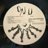 The New Age Steppers