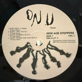 The New Age Steppers