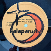 Kalaparusha